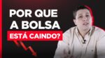 BOLSA EM QUEDA   COMO A INFLAÇÃO E A SELIC INFLUENCIAM NAS AÇÕES