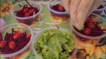 SALADA PRA SEMANA TODA SEM ESTRAGAR, O SEGREDO TÁ NO MOLHO