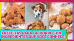 3 RECEITAS PARA SEU CACHORRO! Receitas NATURAIS que até humanos podem comer | Receitas de Minuto 777